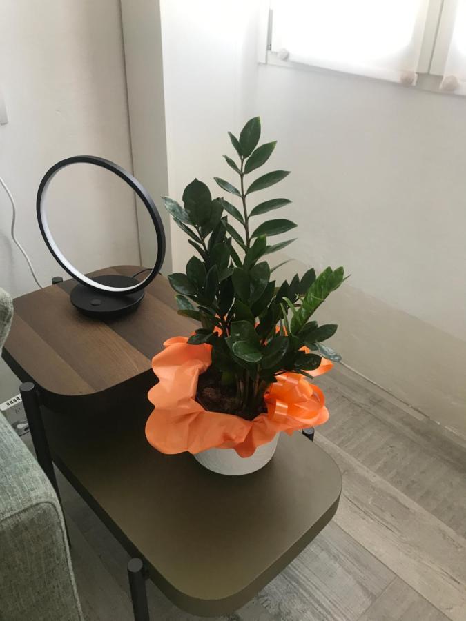Studio 18 Apartamento *